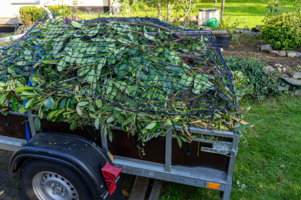 Best Carpet Removal and Disposal  in Hudson, MI